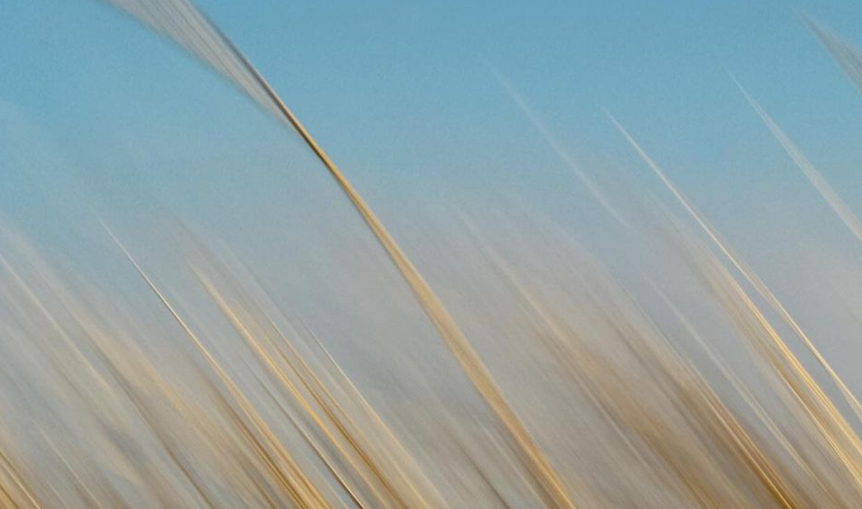 Preview for Design x Meaning-making